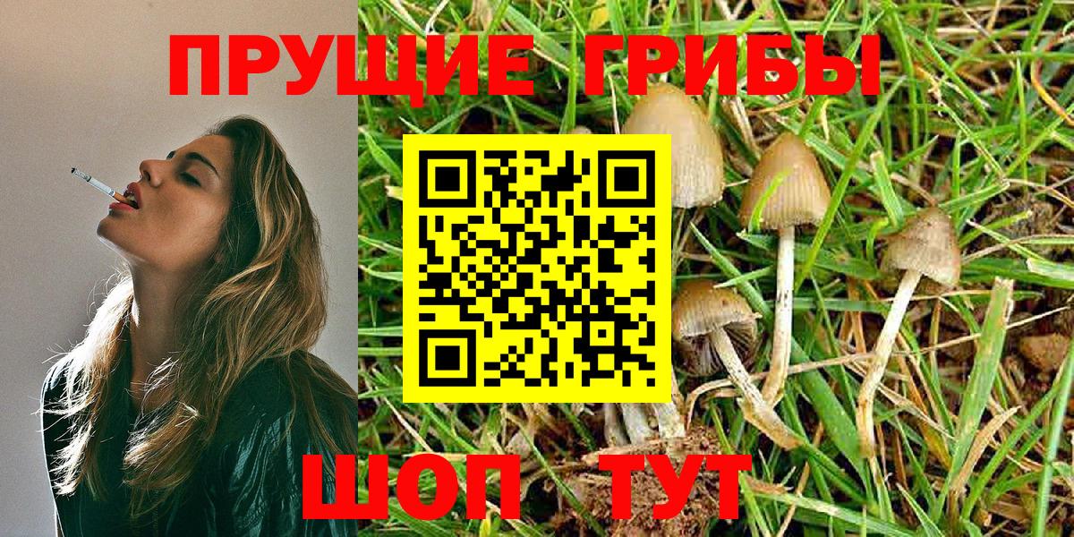 Зима  Псилоцибиновые грибы MAGIC MUSHROOMS  Вход с VPN 