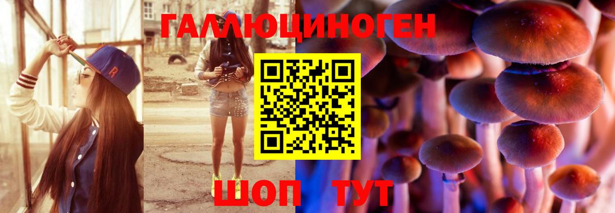 Псилоцибиновые грибы Cubensis Зима